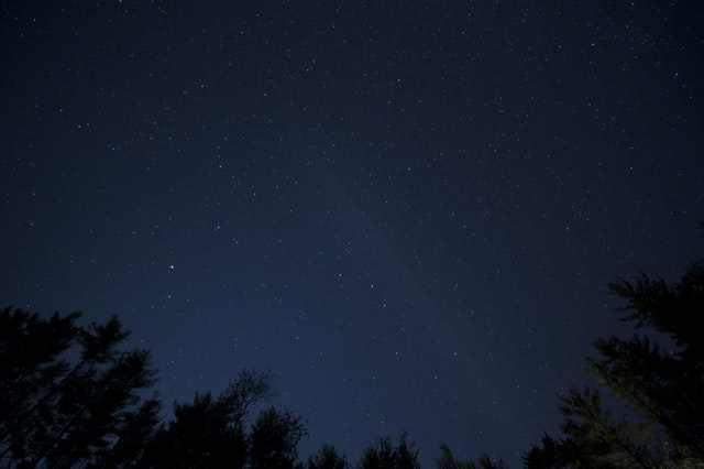 night-trees-stars (1)